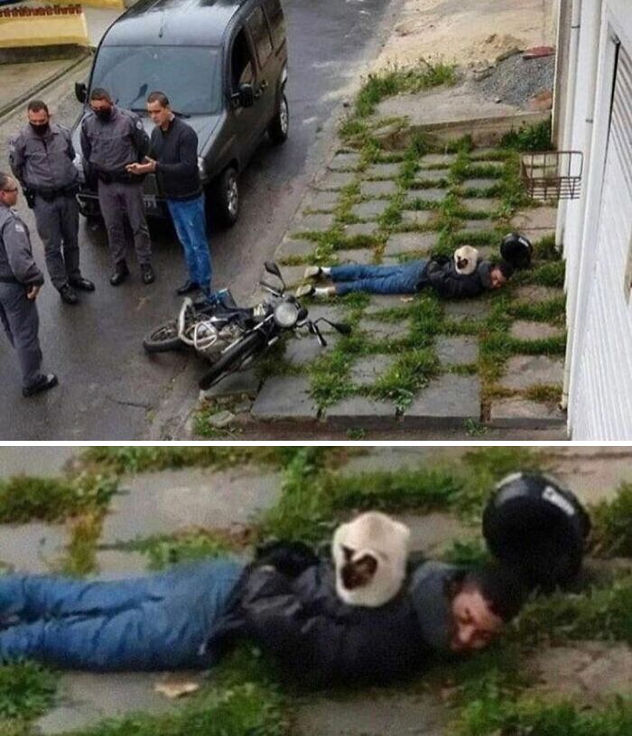 Man lying on ground with a cat on his back near a fallen motorcycle, surrounded by police officers in an awkward photo.