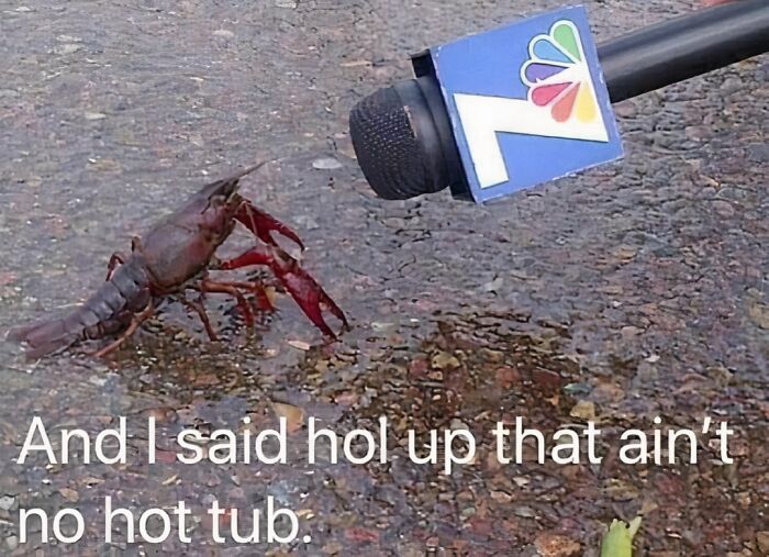 Crawfish near news microphone with humorous caption, an awkward photo that is almost too painful to look at.