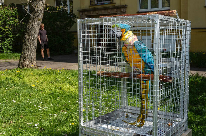 Colorful parrot in a cage outdoors with a person walking by, a funny accidental image by a street photographer.