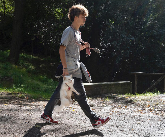 Young man walking a cat on a leash in a park, a funny accidental image captured by a street photographer at the right time.