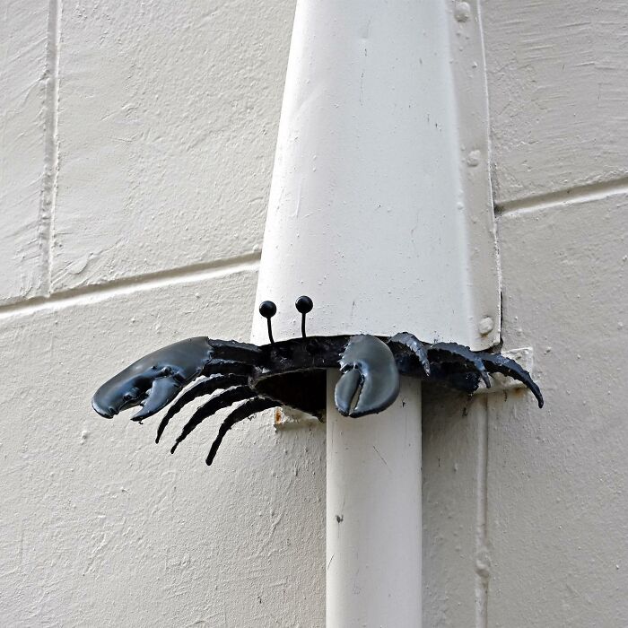 Metal crab street art cleverly integrated on a white drainpipe, showcasing creative public space interpretation by Frankey.