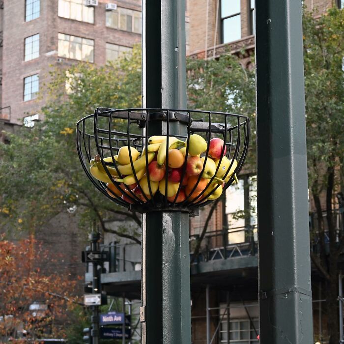 Street art installation of a metal basket filled with various fruits attached to a pole in an urban public space.