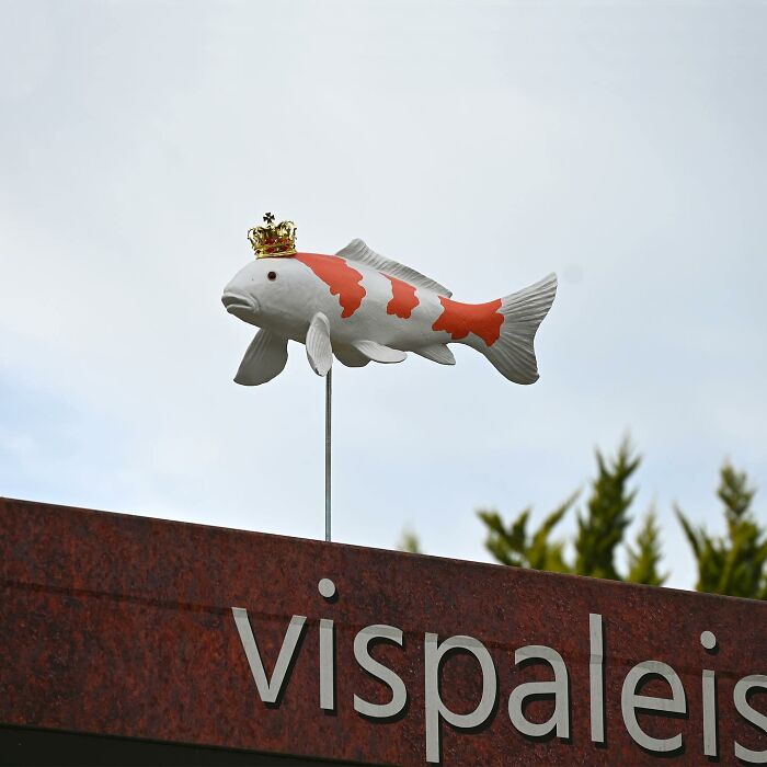 Street art sculpture of a fish with a crown displayed above public space with building signage.