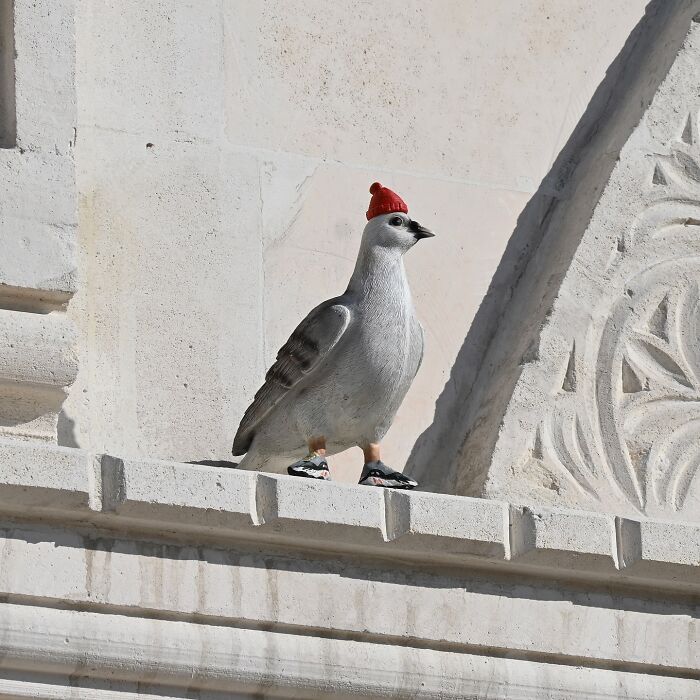 Pigeon street art wearing a red beanie and sneakers, showcasing clever interpretations of public spaces by Frankey.