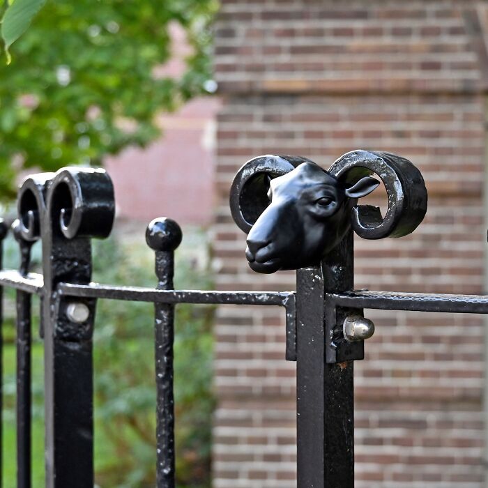 Black metal fence with a ram head sculpture creatively integrated as street art in a public space setting.