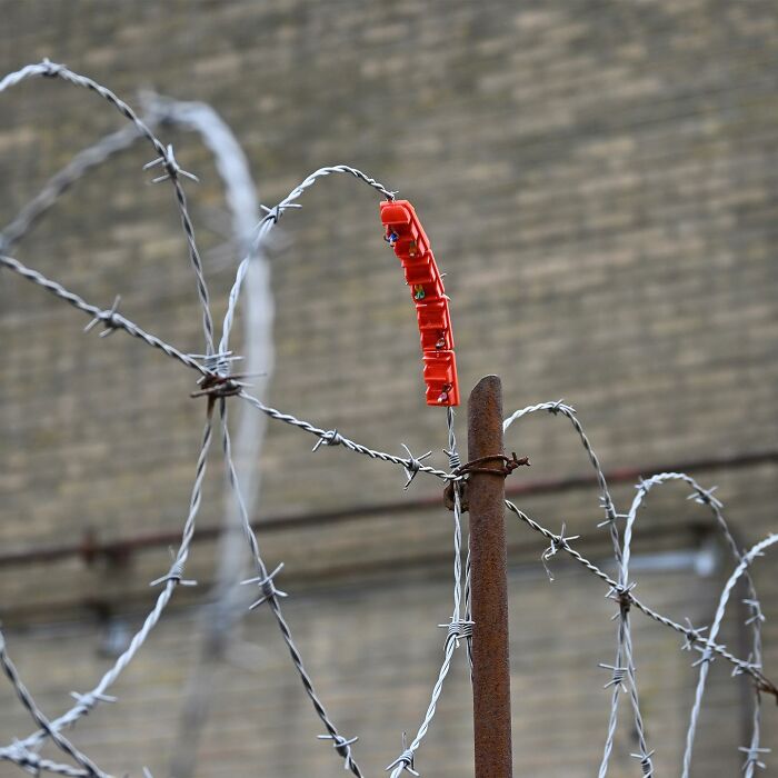 Barbed wire installation with tiny model figures showing clever street art transforming public spaces by Frankey.