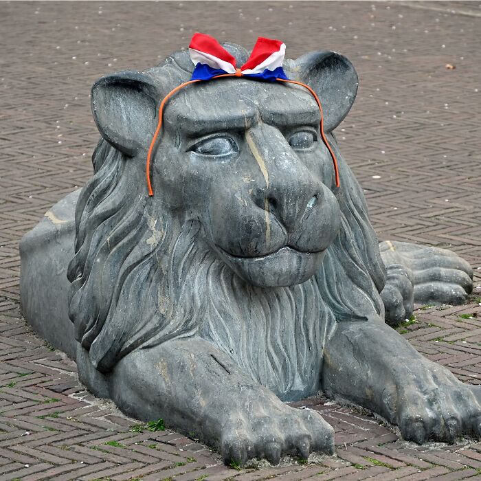 Stone lion sculpture wearing a small red, white, and blue headband in a public space street art setting.