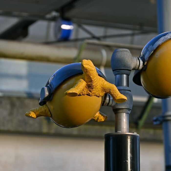 Yellow bird claw street art attached to a public light fixture, showcasing clever interpretations of public spaces by Frankey.