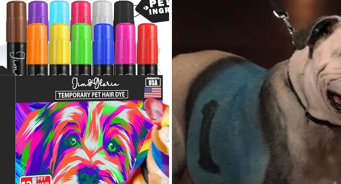 Temporary pet hair dye markers in various colors and a dog with dyed fur being groomed, showcasing Shark Tank product wins and fails.