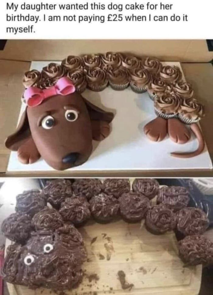 Humorous homemade dog cake fail compared to professional dog cake in funny memes about life in the UK.