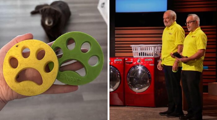 Hand holding yellow and green paw-shaped gadgets with a dog in background next to Shark Tank entrepreneurs pitching products.