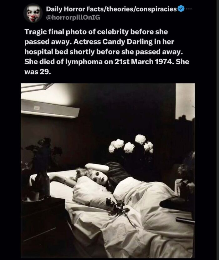 Black and white photo of actress Candy Darling lying in a hospital bed with flowers, part of horror pill unsettling images.