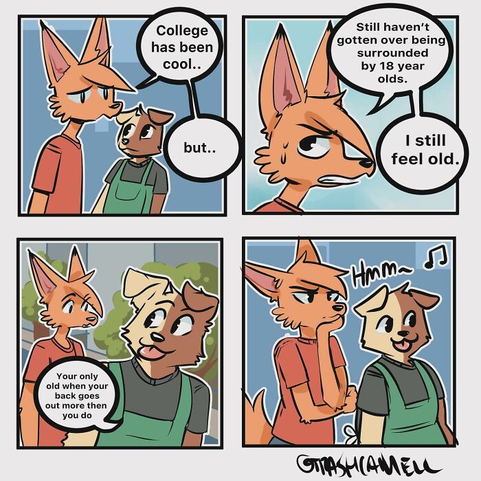 Animal comic panels showing a fox and dog discussing feeling old despite college and youth with humor and relatable chaos.
