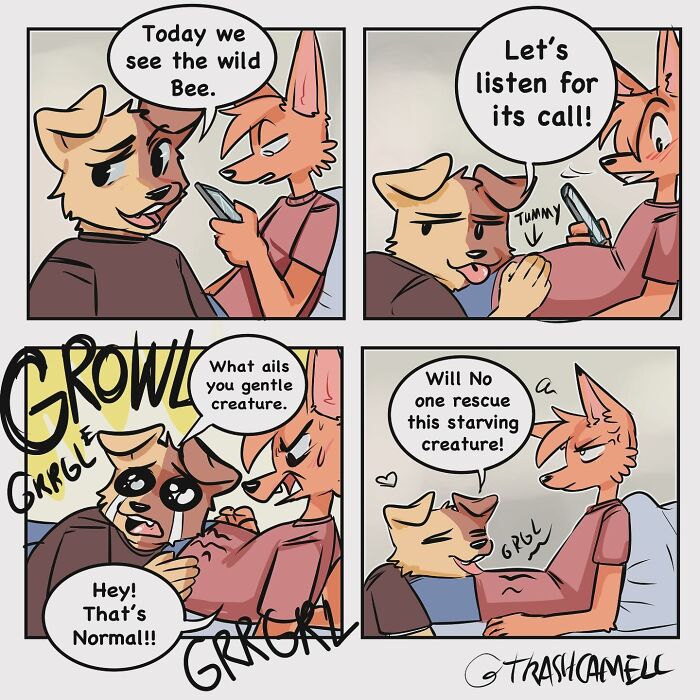 Comic strip of two animals humorously capturing the chaos of being human with a growling tummy scene.