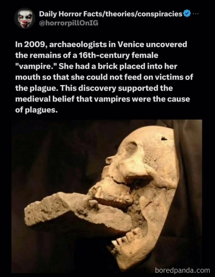 Skull of a 16th-century female vampire with a brick in her mouth, from unsettling images in the horror pill online group.