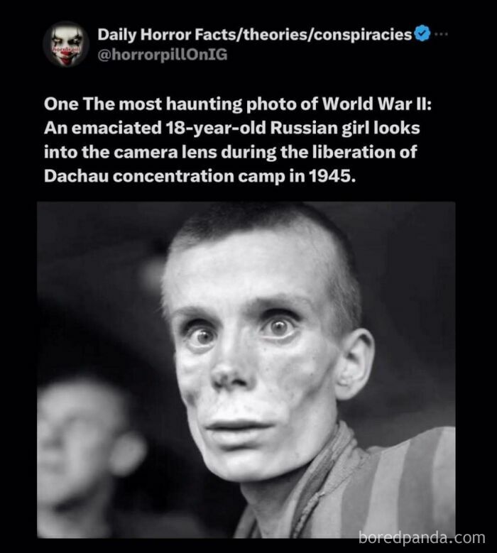 Emaciated young woman with haunting expression during World War II concentration camp liberation horror pill group image