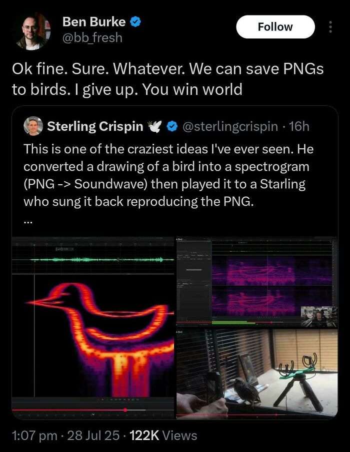 Twitter post about a unique experiment turning a bird drawing into sound and back, showcasing creative sentences people said.
