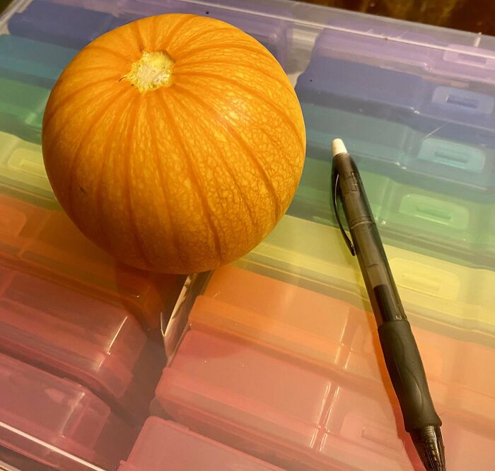 Small orange pumpkin next to a pen on a colorful plastic container, illustrating harvesting size humor.