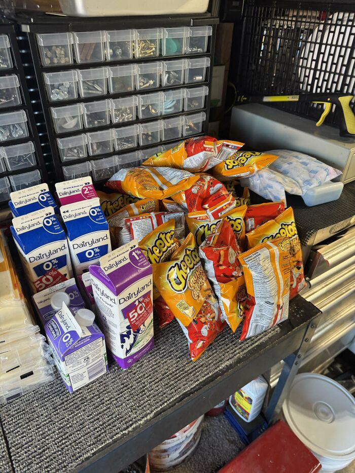 Various unopened snack chips and milk cartons neatly arranged on a workbench as dumpster diving treasures.