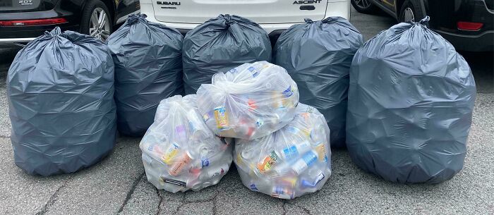 Several full trash bags and clear bags of recyclable cans and bottles lined up in a parking lot, dumpster diving treasures.