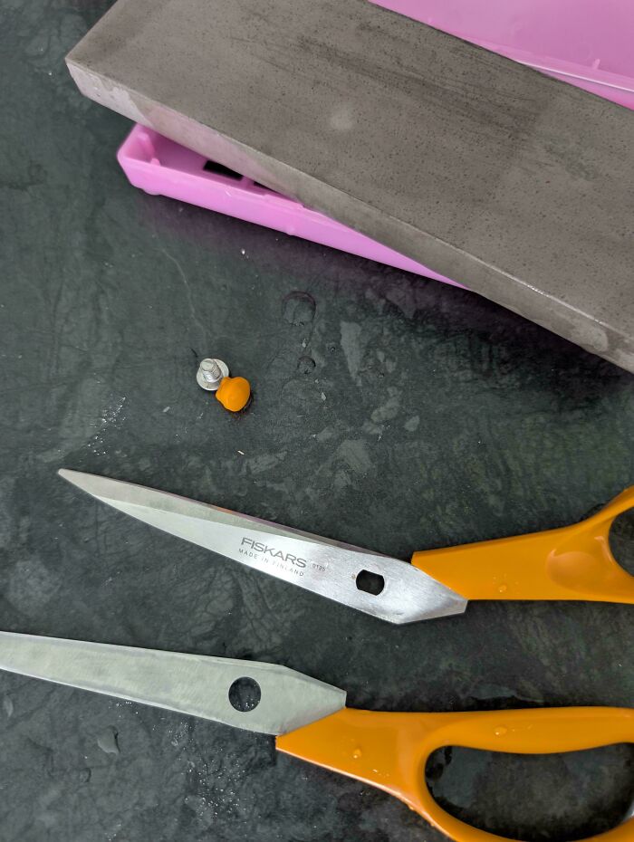 Buy Scissors That Can Be Sharpened