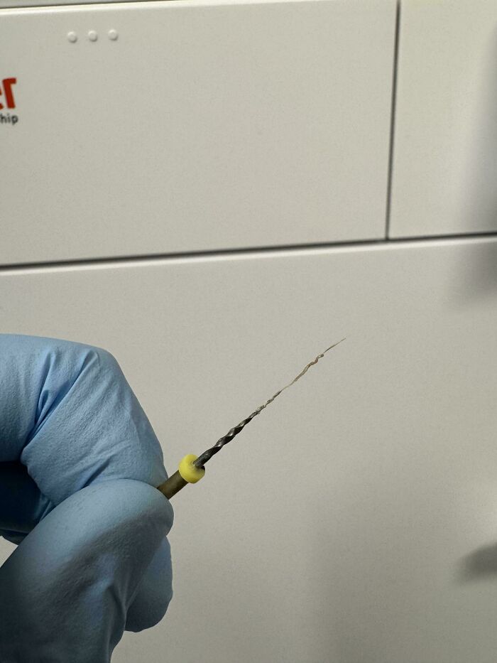 Hand in glove holding a thin, twisted tool with a delicate spiral tip, showcasing an interesting close-up detail.