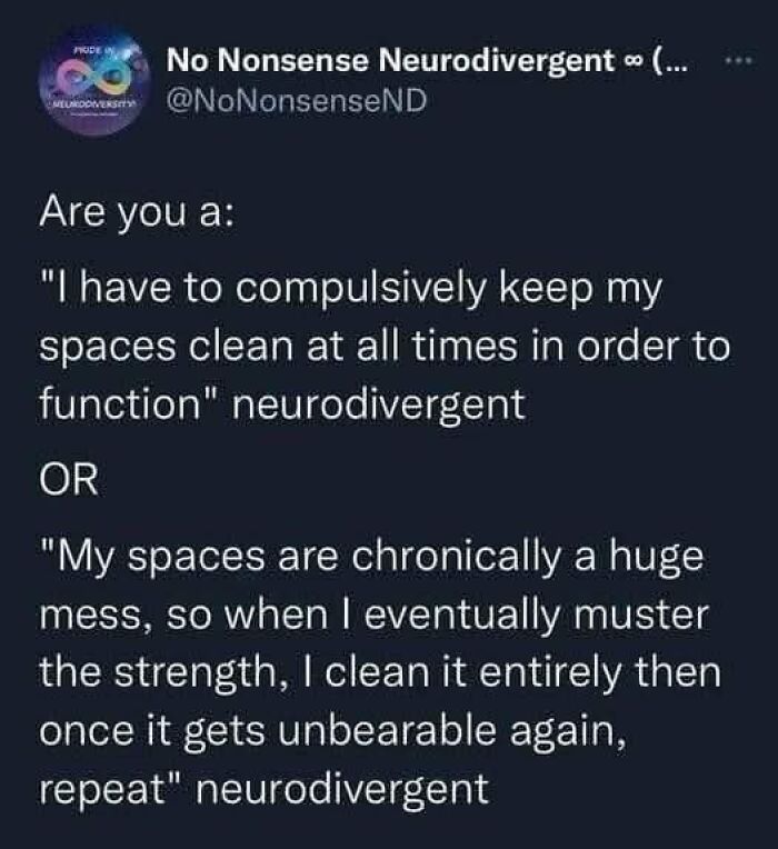 Tweet text from No Nonsense Neurodivergent about relatable neurodivergent cleaning habits and struggles with space organization.
