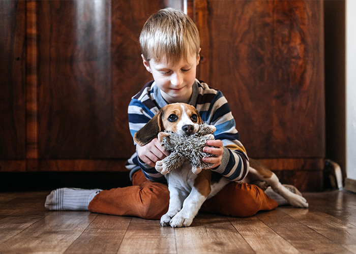 Young boy sitting on wooden floor playing with his dog and a plush toy, capturing facts people are tired of explaining.