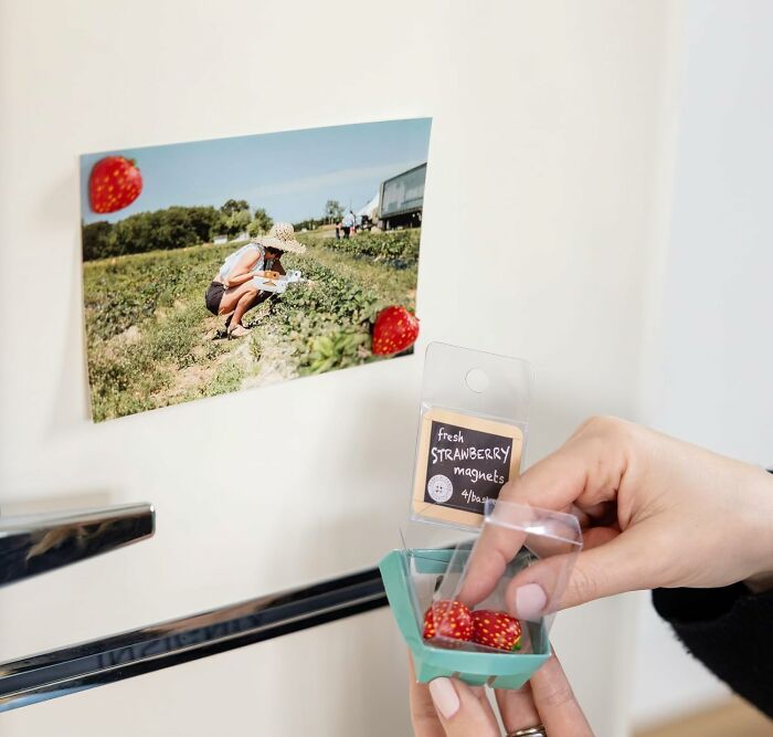 Hand placing fresh strawberry magnets on a fridge with a photo of a person picking strawberries in a field.