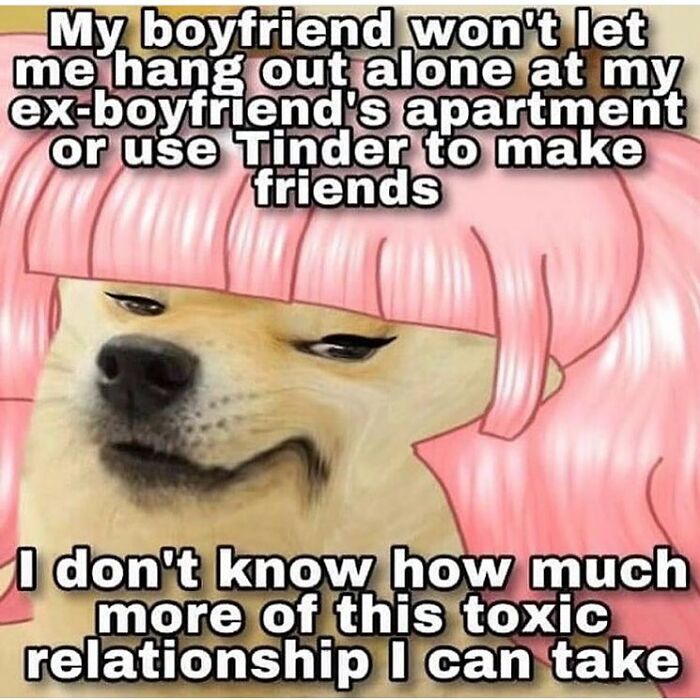 A dog with pink hair wig and eyeliner expressing frustration about a toxic relationship in a weird and unhinged humor meme.