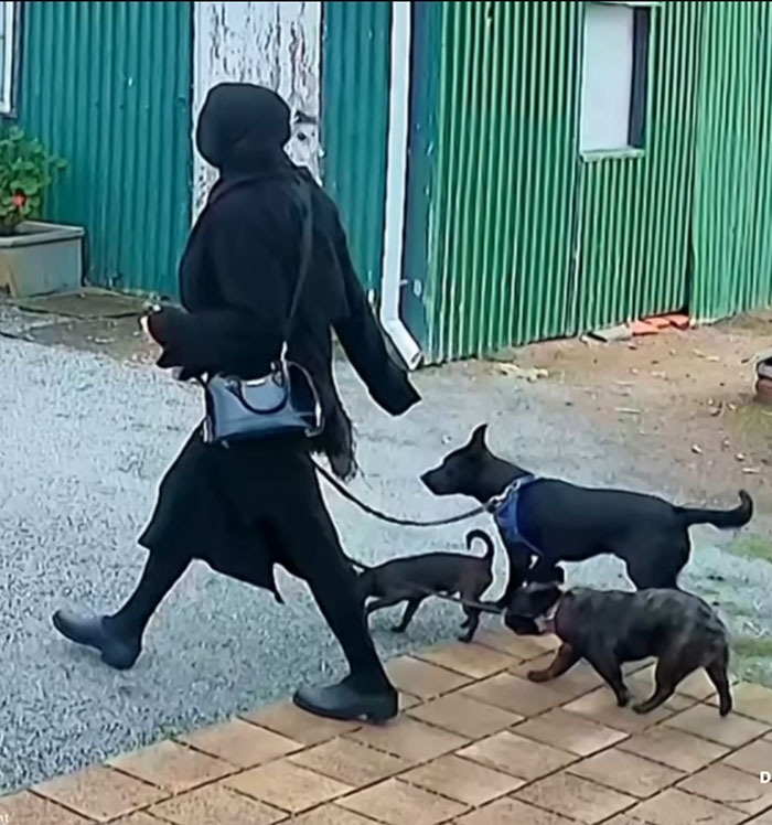Person dressed in black walking three dogs on leashes near a green building, related to reality star charged with murder news.