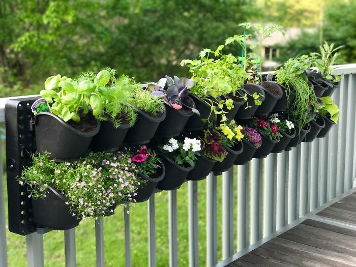 Vertical garden gadget mounted on a railing, holding various herbs and flowers to organize a garden space efficiently.