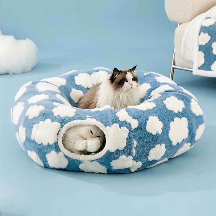 Two cats relaxing on and inside a blue cloud-patterned pet bed, one playing with a toy in the hidden space prime day treasures.