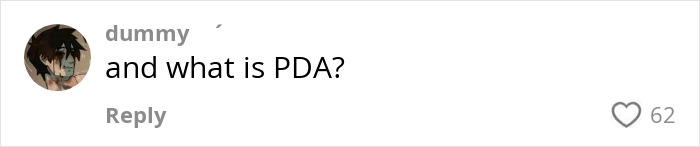 Comment asking about the meaning of PDA in an online discussion related to passenger fumes over disrespectful PDA act on plane. - 7