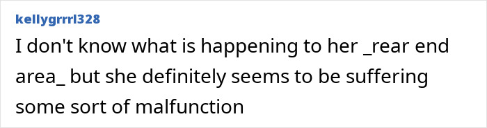 Comment text on a white background about someone&rsquo;s rear end area, mentioning possible malfunction or issue.