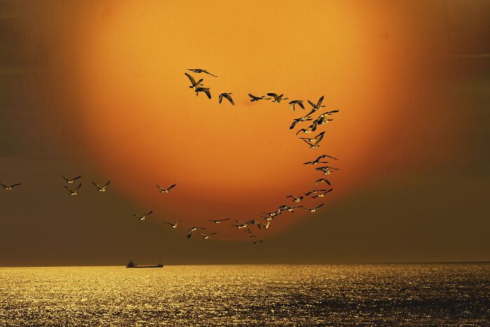 "East-West" By Stephen Spartana