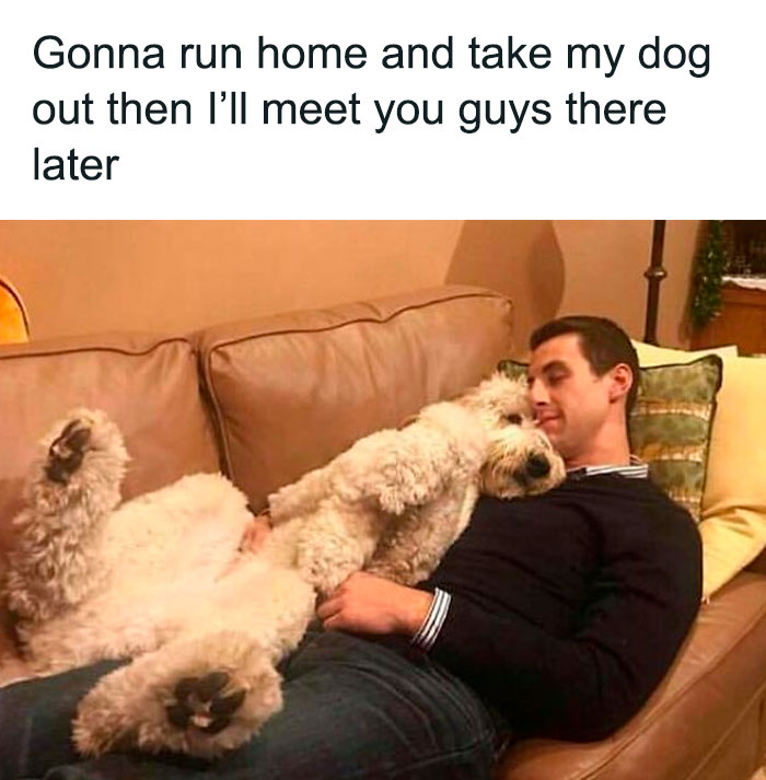 Man lying on couch cuddling large fluffy dog, a funny dog meme showing relatable pet owner moments.