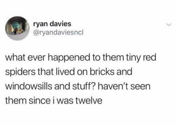 Tweet questioning what happened to tiny red spiders on bricks and windowsills, evoking 90s nostalgia about growing up in that era.