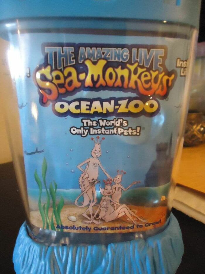 Sea Monkeys instant pets in a clear container, a nostalgic collectible from growing up in the ’90s.