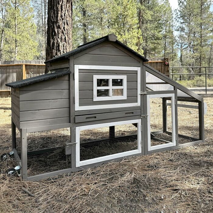 Gray wooden chicken coop with wire mesh enclosure in a forested backyard, showcasing peak coolness design.