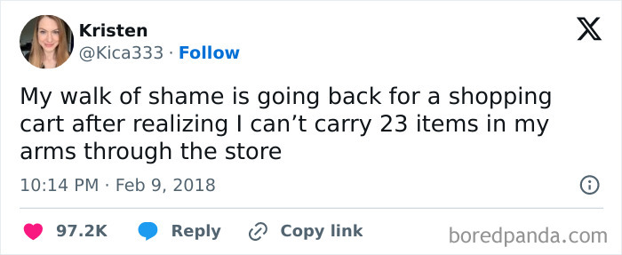 Tweet from Kristen humorously describing her struggle carrying 23 items, part of hilarious posts shared with a circle of idiots.