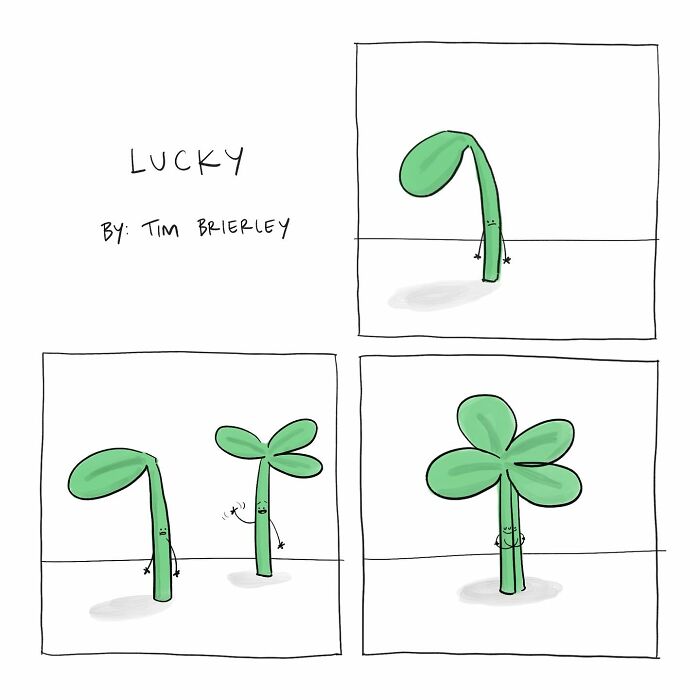 Comic by Tim Brierley showing the growth of a four-leaf clover from a sad sprout to a happy lucky plant.