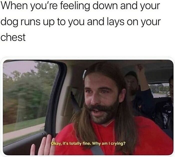 Man with long hair and beard in car, emotional and touched, showing a relatable moment with funny dog memes.