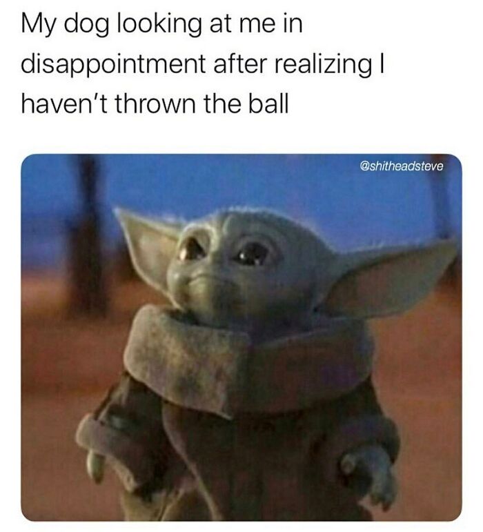 Relatable funny dog meme showing a disappointed Baby Yoda, representing a dog waiting for the ball to be thrown.