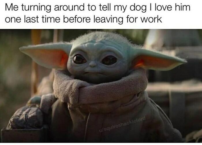 Baby Yoda looking sad, caption about telling dog I love him before leaving for work, funny dog memes relatable moment.
