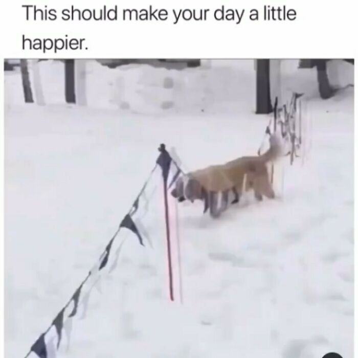 Snow Day Shenanigans