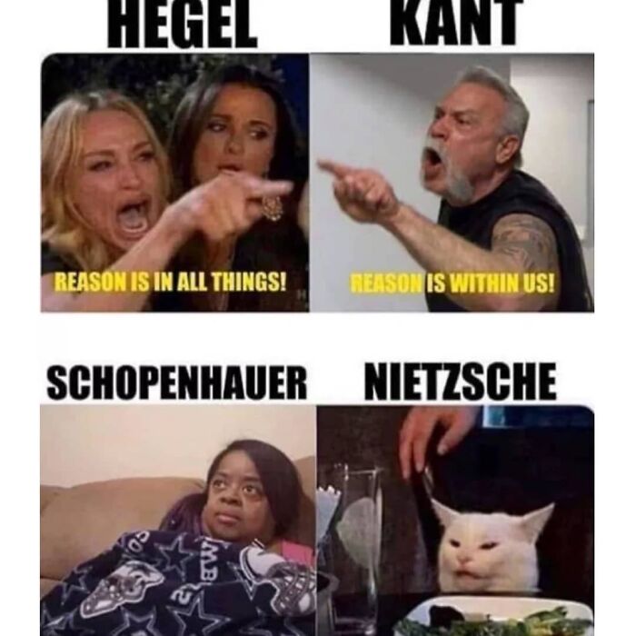 Philosophical meme showing debates on reason by Hegel, Kant, Schopenhauer, and Nietzsche with humorous expressions.