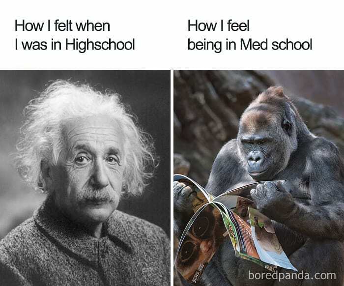 Comparison meme showing Albert Einstein labeled as high school feeling and a gorilla reading a magazine labeled as med school, medical memes humor.