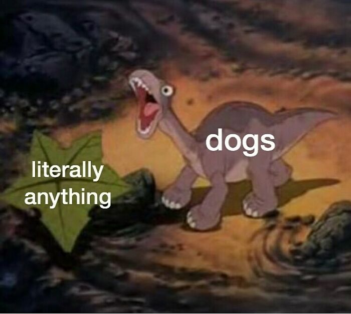 Animated dinosaur character labeled dogs excitedly approaching a green leaf labeled literally anything in a funny dog meme.