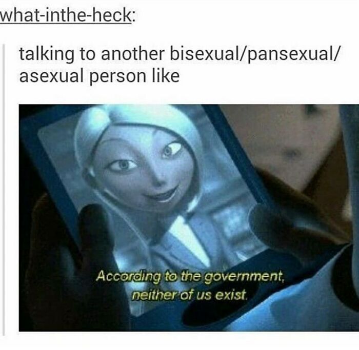 Meme showing a character on a phone with text about bisexual, pansexual, and asexual people from LGBTQ+ memes.